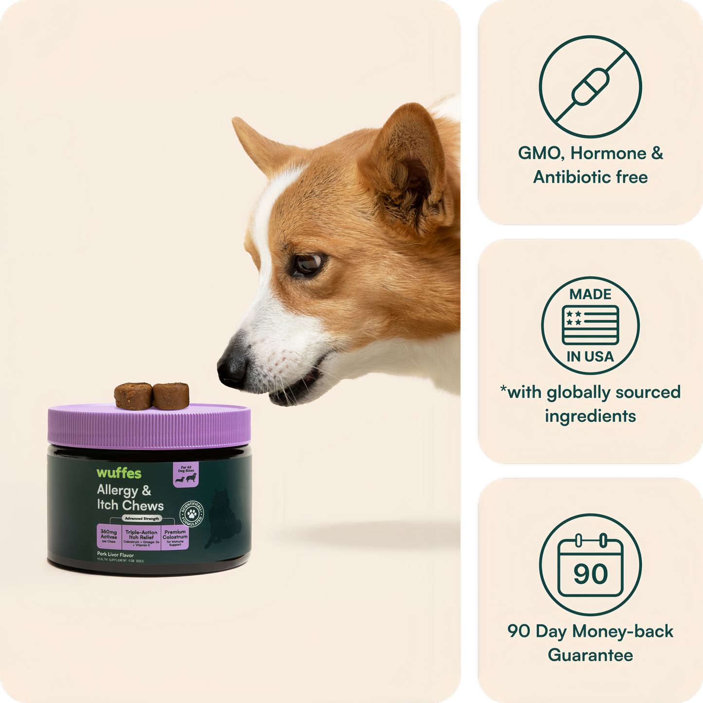 Allergy & Itch Chews