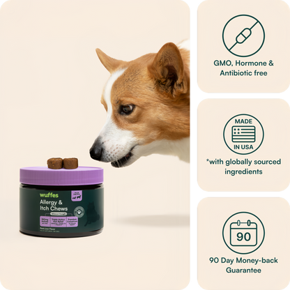 Allergy & Itch Chews