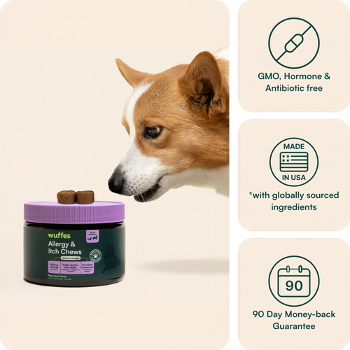 Allergy & Itch Chews
