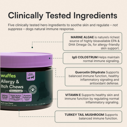 Allergy & Itch Chews