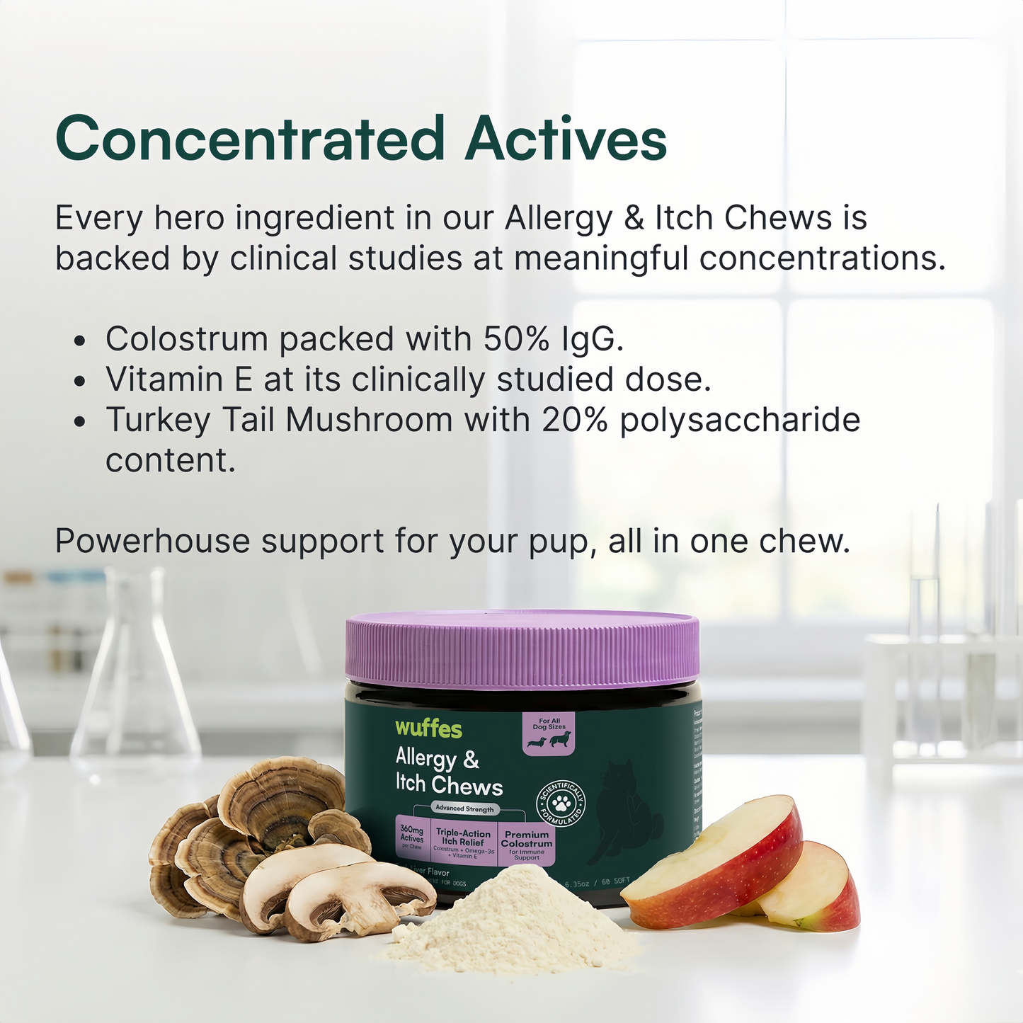 Allergy & Itch Chews