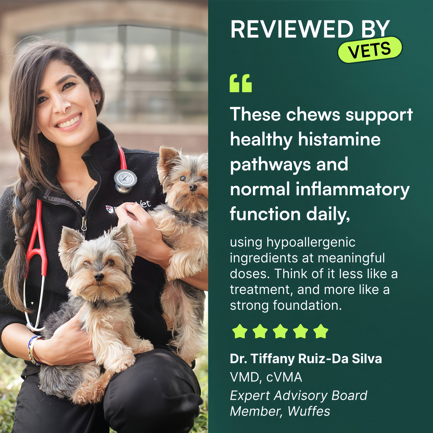 Allergy & Itch Chews