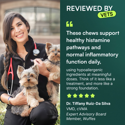 Allergy & Itch Chews