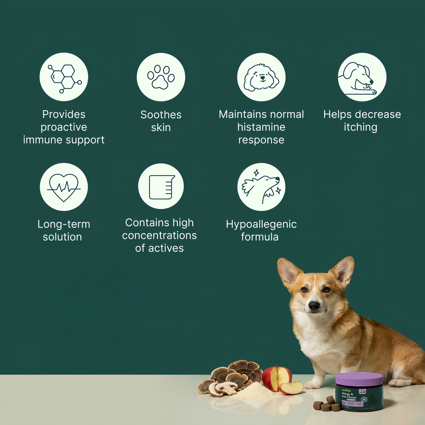 Allergy & Itch Chews